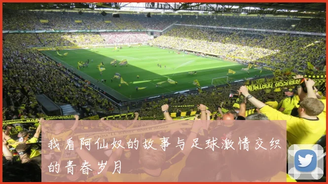 我看阿仙奴的故事与足球激情交织的青春岁月