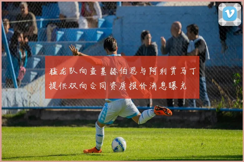 猛龙队向查基赫伯恩与阿利贾马丁提供双向合同资质报价消息曝光