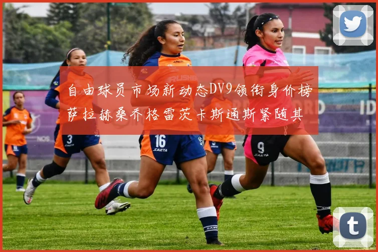 自由球员市场新动态DV9领衔身价榜萨拉赫桑乔格雷茨卡斯通斯紧随其后