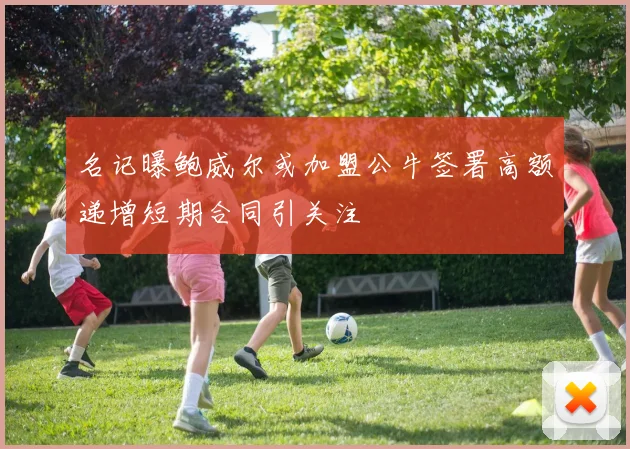 名记曝鲍威尔或加盟公牛签署高额递增短期合同引关注